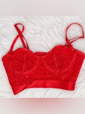 Parade Red Lace Corset Bra Bustier XS Sheer Mesh Floral Lingerie - Underwire